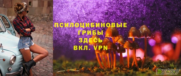 гашишное масло Покачи