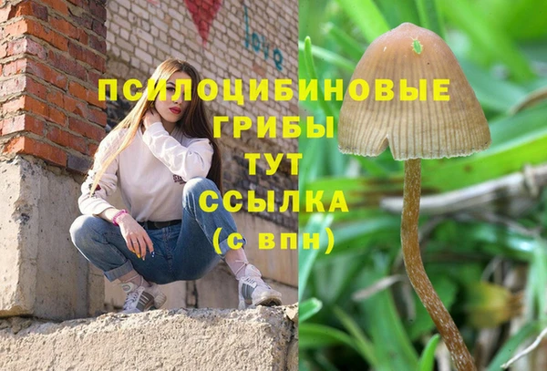 трава Покровск