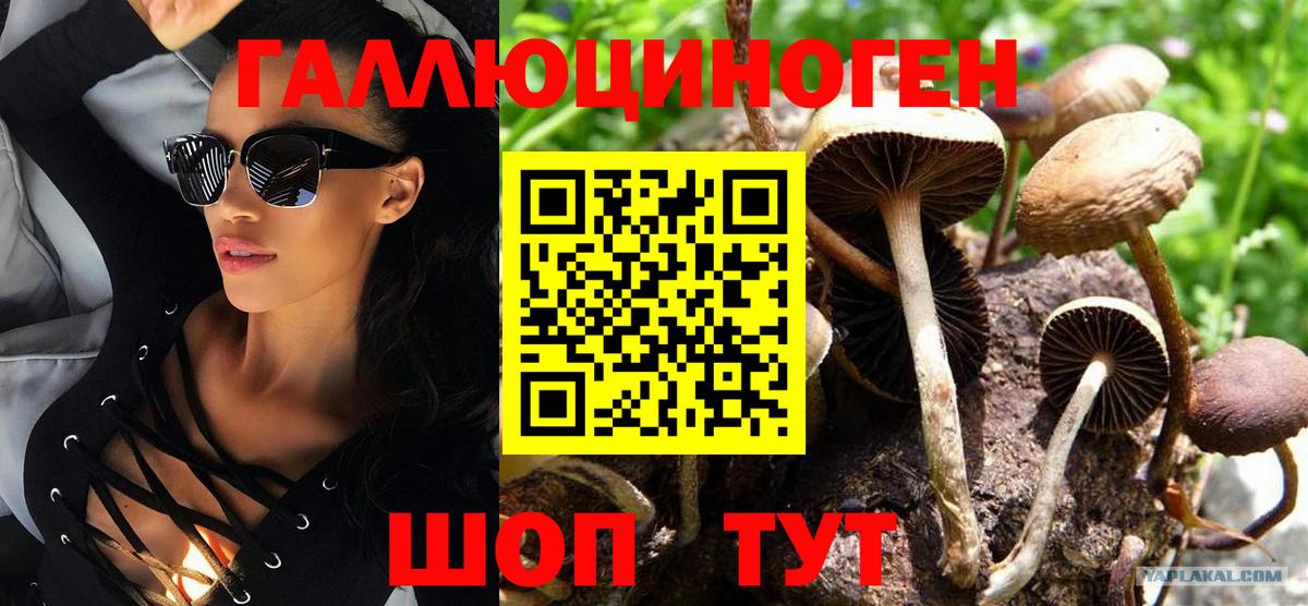 Галлюциногенные грибы Cubensis  Галлюциногенные грибы ЛСД  Вход с VPN  Уварово 